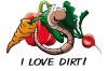Dirt Shirt copy - White